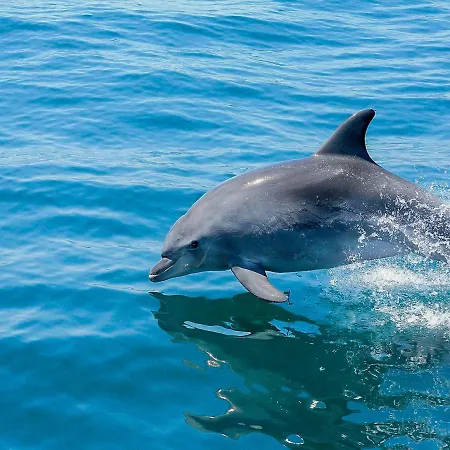 Apartment Luxury 3 Bedroom Apartment, Albufeira